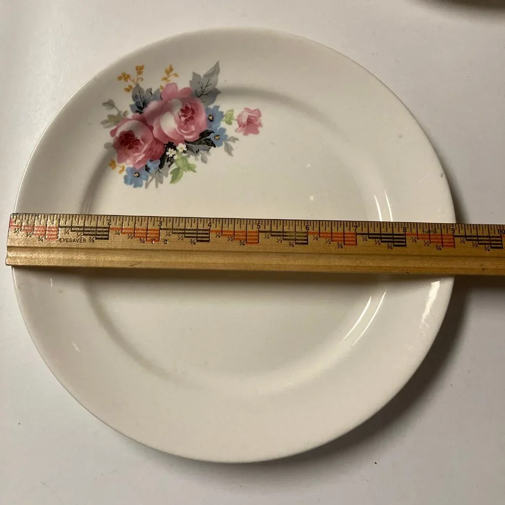 Vintage Dinner Plates (2) 9 Inches with Pink & Blue Flowers / Roses
